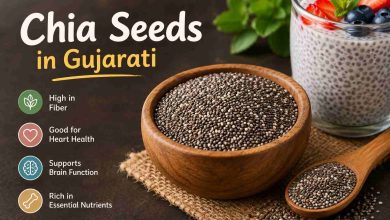 chia seeds in gujararti