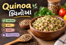 Quinoa in Gujarati