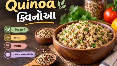 Quinoa in Gujarati