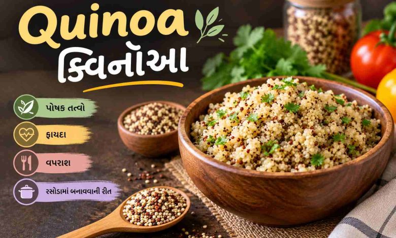 Quinoa in Gujarati
