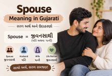 Spouse Meaning in Gujarati